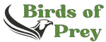Birds of Prey in Washington (23 Types)