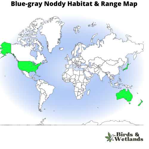 13 Blue Birds in Utah